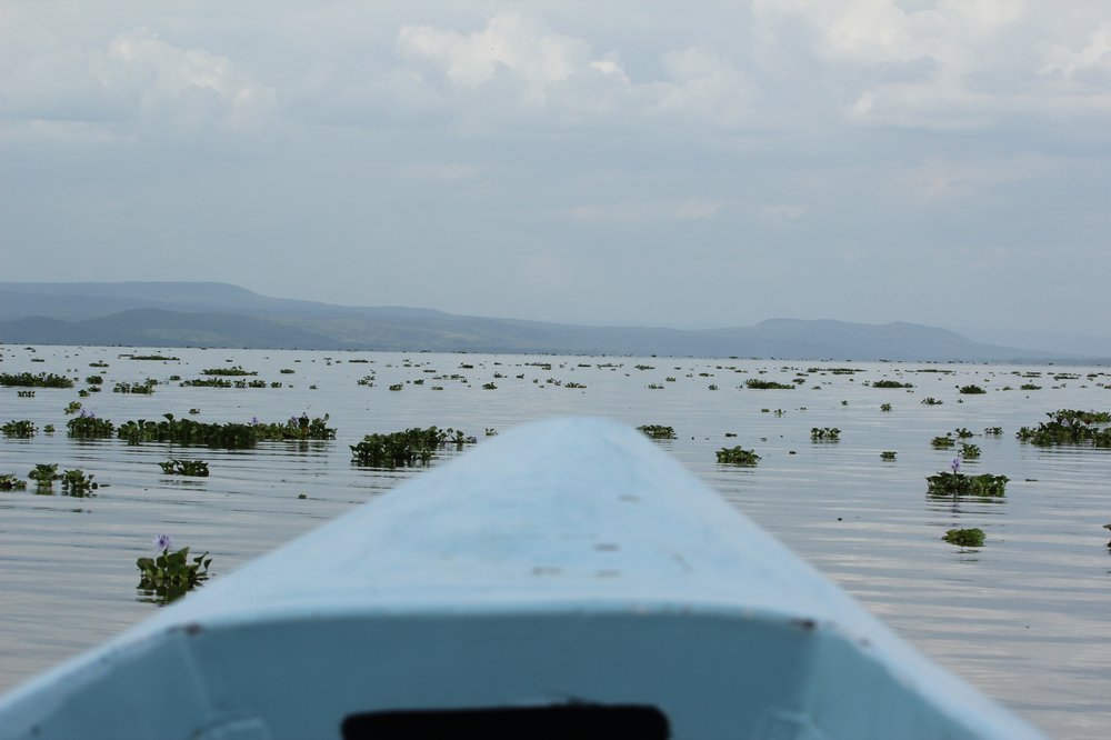 Lake Naivasha Boat Navigation